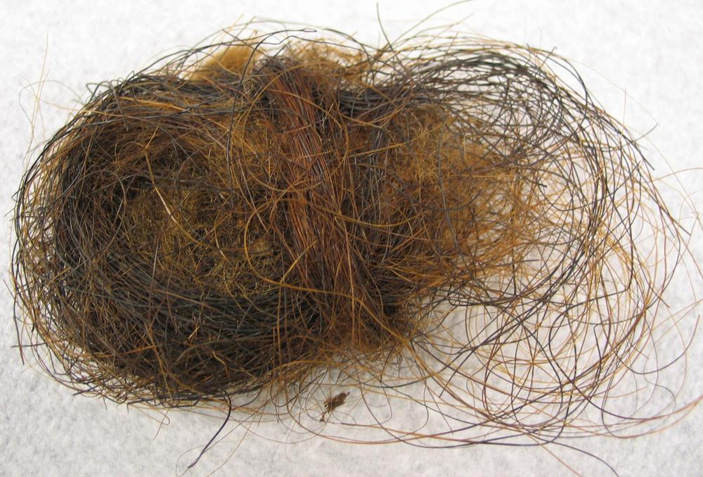 ball of hair